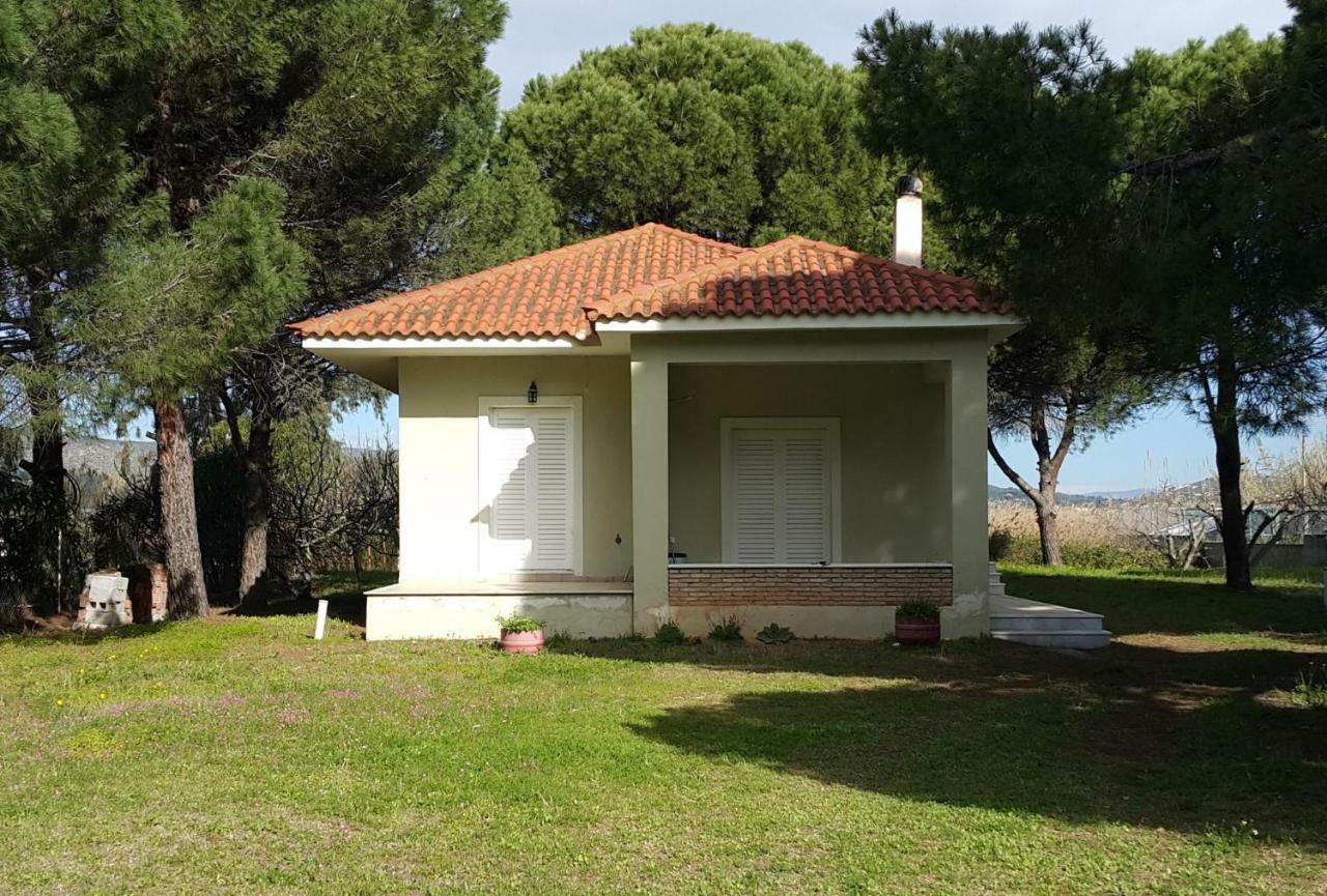 Villa Sunny Day Maratón Exterior foto